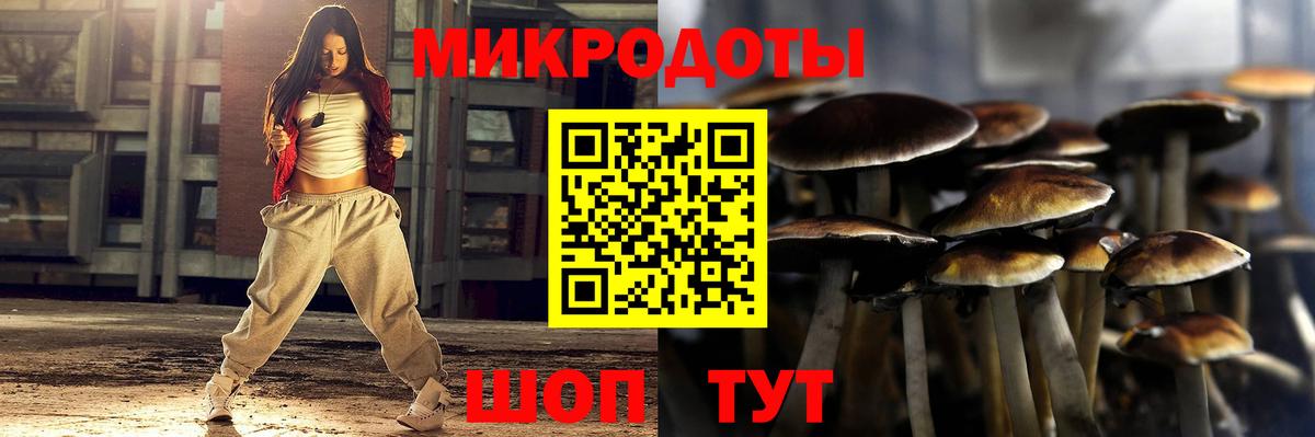 Киселёвск  Галлюциногенные грибы мицелий  Вход с VPN 